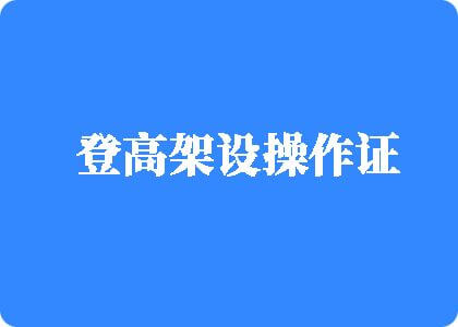 骚B被操视频91登高架设操作证