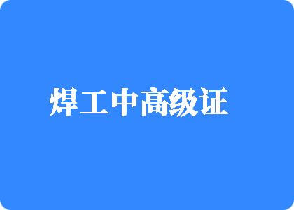 女人被插入大jj网站免费视频焊工中高级证